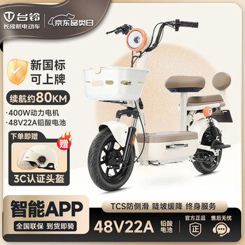 Tailing electric bicycle 48v22ah lead-acid graphene tailing blue whale power battery new national standard can be branded battery car electric assist commuting coffee warm coffee-48v22ah blue whale power battery