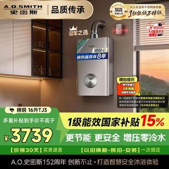 Smith (a.o.smith) garnet stainless steel tj3 first-class energy efficiency 16 liters of fine steel zero cold water gas water heater national subsidy 15% jslq28-tj3 all fine steel periphery 8 years