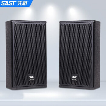 Sast professional stage conference speaker set, stage wedding performance conference bar ktv audio outdoor set hifi speaker high power 10-inch stage speaker pair (kp10v)