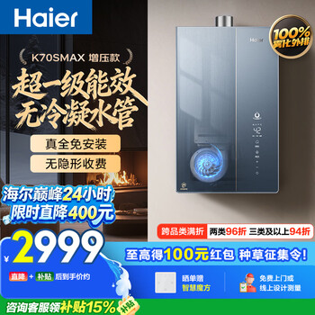 Haier little sea whale non-condensate water pipe k70smax 16 liter gas water heater natural gas first-class energy efficiency lower fan silent booster household