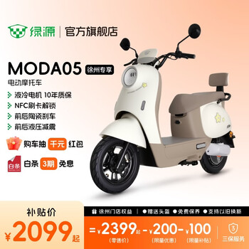 Luyuan xuzhou exclusive moda05 new electric motorcycle home use long range electric motorcycle motorcycle lead-acid battery electric motorcycle battery car go to the store to choose the color - 60v22ah lead-acid