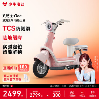 Mavericks electric limited time fixed price y cheese one electric bicycle new national standard lead-acid battery for transportation for adults small lightweight electric bicycle for women and men for students commuting pick up in store