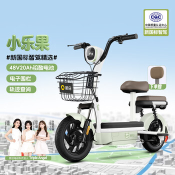 Xinrixin national standard xiaoleguo 48v20ah intelligent long range commuting e-bike bamboo green/fairytale white