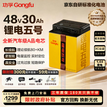 Gongfu lithium battery no. 5 electric vehicle lithium battery 48v30ah large capacity battery vehicle electric motorcycle battery yadi emma bell