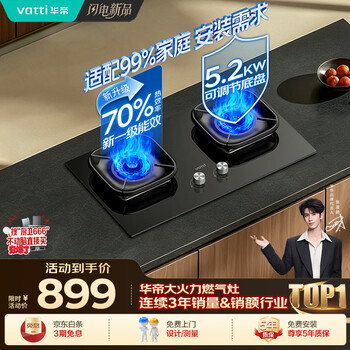 Vantage upgraded 70% thermal efficiency natural gas gas stove embedded household 5.2kw fierce fire stove first-level energy efficiency trade-in gas stove double stove stove i10071bs