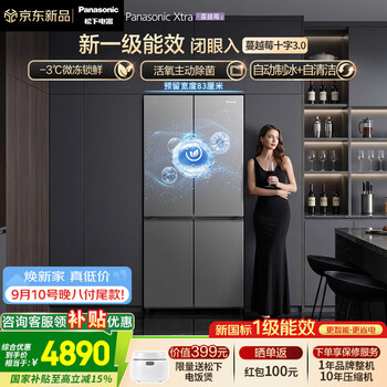 Panasonic