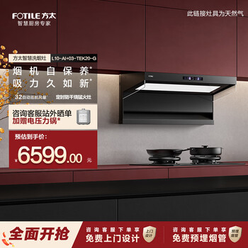 Fotile range hood l10-ai top side double smoking stove set smart range hood household 32 cruise air volume self-cleaning suction range hood gas stove set flagship high-end with anti-dry burning timer stove 03-tek20-g (grey)-tian