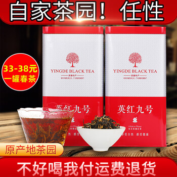 Yinghong no.9 tea high mountain old tree yinghong no.9 strong flavor wholesale spring tea kungfu tea canned new tea 1959 random delivery