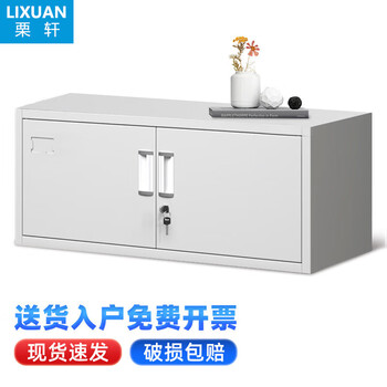 Li xuan filing cabinet iron cabinet office filing cabinet steel locker tool cabinet information cabinet financial voucher cabinet with lock single section filing cabinet 0.4mm