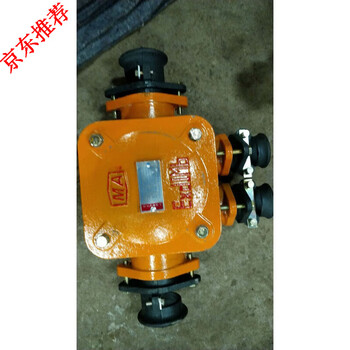 Customized mine explosion-proof junction box bhd2-200/1140/4t mine high-voltage junction box