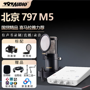 797audio beijing 797 m5 large diaphragm condenser microphone audiobook recording dubbing karaoke dubbing live broadcast set 797 m5+r2 gen ii set