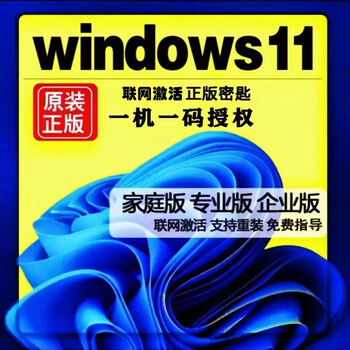 Win10 professional version activation key windows11 genuine system activation code home version upgrade serial number win11 professional workstation version