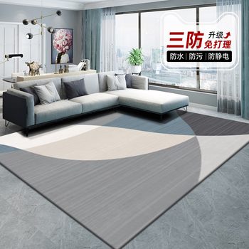 Wanchuang living room carpet home bedroom sofa bedside blanket waterproof anti-fouling no-wash thick light luxury high-grade large area carpet muqing-4 200*300cm versatile size