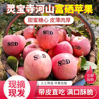 Lingbao apple authentic henan lingbao apple temple heshan red fuji fresh delicious crisp sweet no residue naturally rich in selenium 85mm unlabeled family ten-kilogram pack including box