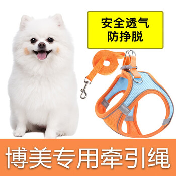 Wami pomeranian's special traction rope, vest type, small dog walking harness, anti-breakaway puppy dog leash, no. 2 traction rope, color matching orange, xs code, recommended 3-9 pounds