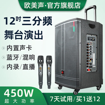 European and american sound professional stage performance large mobile speaker three-way outdoor high-power square dance singing pull rod charging large speaker with wireless bluetooth microphone karaoke 128v 12-inch subwoofer 450w 2* wireless u-segment metal microphone + spree