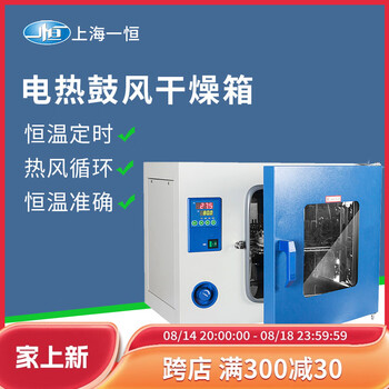 Yiheng shanghai electric constant temperature blast drying oven laboratory high temperature small dryer industrial oven 300 dhg-9625a type temperature control rt+10-300