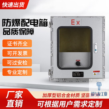 Shantou lincun explosion-proof distribution box junction box 7-inch display explosion-proof temperature control instrument box visible small door touch 400*500*200