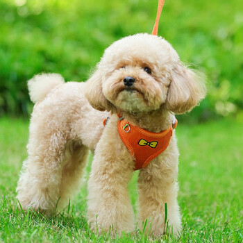 Slpc dog harness small dog leash vest style teddy pomeranian dog harness reflective outdoor dog leash orange m (about 7 to 13 pounds)