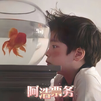 Jingdong ahao performance ticketing, concert tickets, proxy shooting and information grabbing, dedicated communication and customer service 100 ahao ticketing, concert tickets, communication and customer service