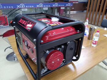 Renjuyi chongqing zunma gasoline generator 3kw