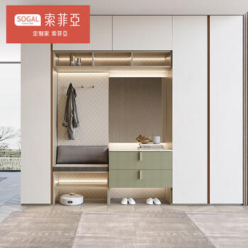 Sophia custom wardrobe whole house customization whole house furniture customization misu series custom gold