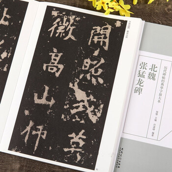 Zhang menglong stele, full-text enlarged version, classic single-character enlarged version of stele calligraphy from past dynasties, simplified marginalia, northern wei and wei stele regular script calligraphy brush calligraphy, anhui fine arts publishing house