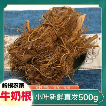 Rumored jinfang fujian small leaf milk root 500g freshly dug and shipped naturally dried fujian songxi milk root 100g fresh 500g