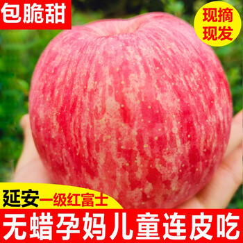 Anheshan shaanxi yan'an luochuan apple red fuji fresh fruit crisp sweet seasonal fruit seasonal fresh ping an fruit 85-90mm with box 10 catties (net weight 8.8 catties)