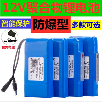 Xijiuyang lithium battery pack large capacity polymer 10ah battery battery 12 volt outdoor charging led light box light belt audio 12v 12000 mah 38*62*120mm power model free 2a charger