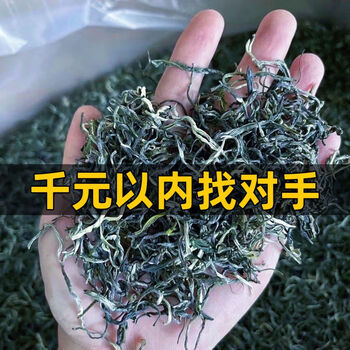 Chaowei 2024 special maojian new tea strong flavor alpine green tea black tea maofeng tea 500 wholesale bulk spring tea 500g per pound