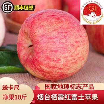 Taste of october sf express 2025 national landmark authentic yantai qixia red fuji apple fresh fruit striped fruit first and second grade strips 85 net 10 jin full box 18 sf