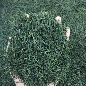 Ganxiangpo 2024 new tea yuqian tea maojian tea dawu dabie mountain tea xiaogan huanggang macheng hong'an yunwu straight strip maojian 1000g yuqian bud maojian teahouse pack