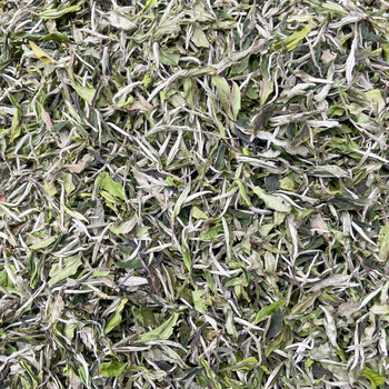 Fuding white tea 2022 fuding guanyangchun tea flower fragrant white alpine sun-dried white tea loose tea pack 500g manufacturer 2022 white peony 22-3