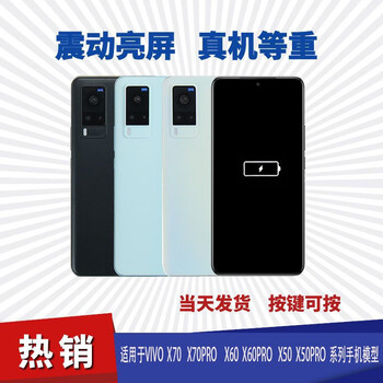 Qifei is suitable for vivo x70 pro mobile phone model x60