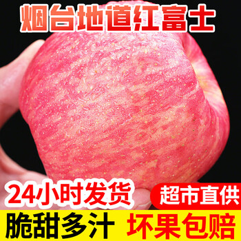 Authentic yantai red fuji 2025 fresh fruit seasonal whole box large fruit 75mm+ net weight 2.5 jin