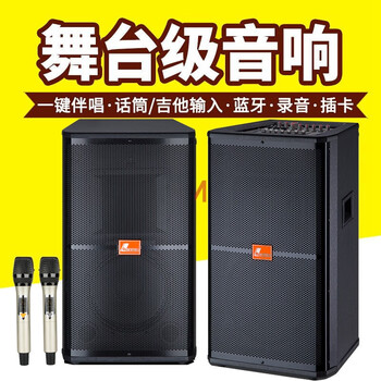 Danmark dm-10/12/15 professional high-power heavy bass outdoor performance stage audio elimination original singing karaoke square dance speaker 12-inch dual speakers + dual wireless professional microphones