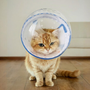 Daddy bear's elizabethan circle is deepened and elongated for cats, dogs and kittens, nail clippers, anti-licking and anti-bite pet space headgear, blue s cable tie style (3 years old & 4-7 months old)