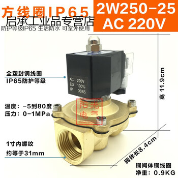 Waterproof solenoid valve 2w160-15/2w200-20/250-25/4/6 points/1 inch/dn15/ waterproof ip652w250-25ac220v