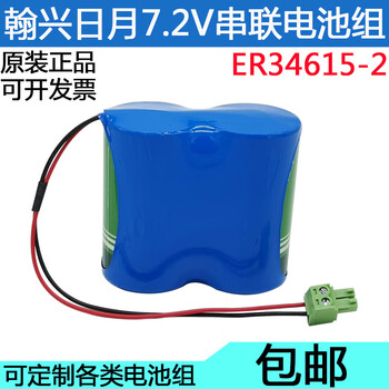 Riyueer34615-2 internet of things meter instrument vortex flowmeter instrument lithium battery parallel battery pack 3.6v