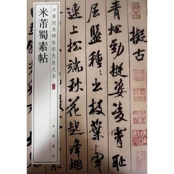Mi fushu plain calligraphy (color enlarged version of chinese classic stele calligraphy)