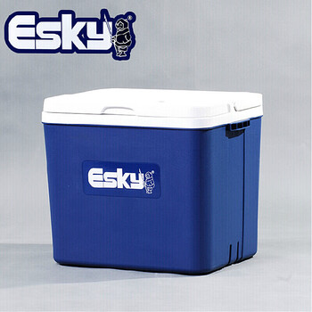 Esky 33l vehicle-mounted home car insulated box portable commercial refrigerator outdoor ice bucket fresh box with 8 ice bags