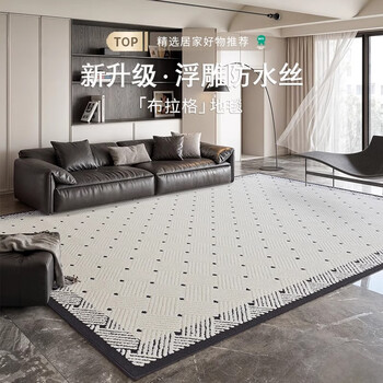 Xinglianxin carpet living room 2025 new style no-wash and wipeable light luxury high-quality high-quality diatom silk large area sofa blanket diatom silk-prague 200 300cm