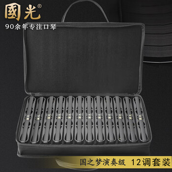 Guoguang japan imported gongs 24-hole polyphonic #a/b/c/d/f/g accent adult beginner professional performance harmonica 24-hole 12-tone set-standard