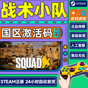 Squad tactical squad steam game genuine pc game chinese country activation code cdkey ready-to-stand second edition squad tactical squad game body