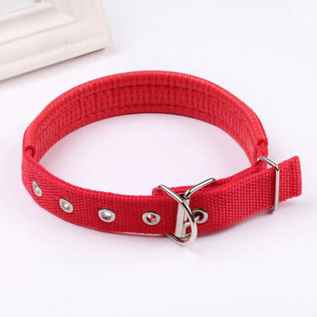 Lanswood dog collar luminous collar medium-sized dog collar puppy collar teddy golden retriever collar non-stretching and non-smoothing red xs code recommended 3-10 catties neck circumference 28-35cm