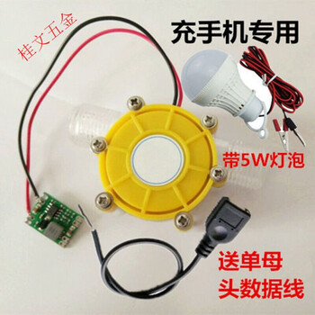 Taishilon household small water wheel diy permanent magnet pipe-type brushless generator 12v with stabilized voltage hydraulic generator dc 12v step-down 5v charging with light bulb