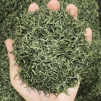 Shengshi jiaming 2023 new tea xinyang maojian bulk tea special grade one bud one leaf rainy mountain green tea wholesale b5 mingqian bud xinyang maojian