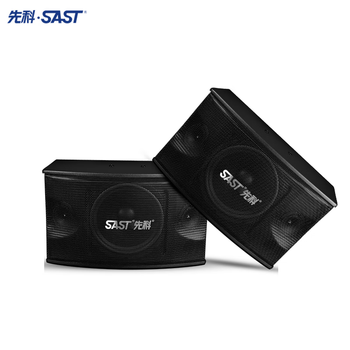 Sast 10-inch home theater ktv audio set home karaoke conference room stage dance room card bag speaker karaoke amplifier stage performance speaker 10-inch audio pair a10