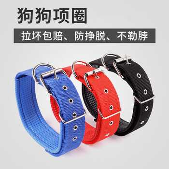 Large dog collar, dog collar, small and medium-sized dog collar, puppy golden retriever labrador collar, black collar s recommended 10-25 catties, shin circumference 27-36cm